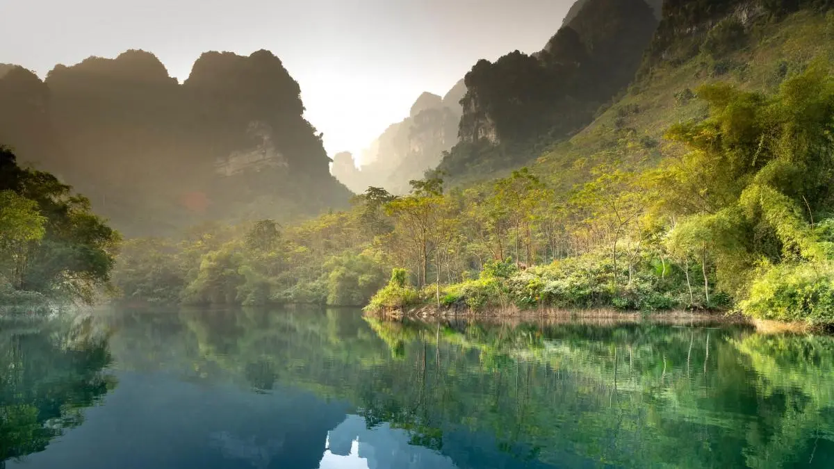 高标准智能独特